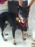 Tieta