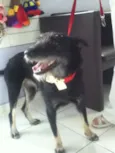 Tieta