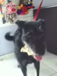 Tieta