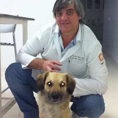 Cachorro ra a SRD idade 2 anos nome Bambam e Pedrita