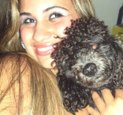 Cachorro raça Poodle idade 3 anos nome Branco GRATIFICA