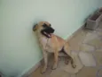 Ritinha