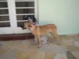 Ritinha