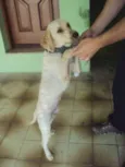 Bob