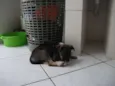 Não tem