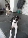 Lila