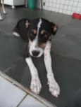 Lila