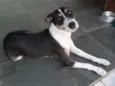 Lila