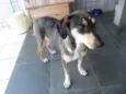 Princesa