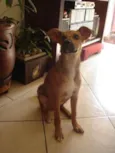 Apelidamos "Garota"