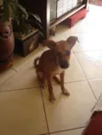 Apelidamos "Garota"