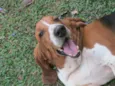 Leopoldo