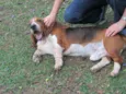 Leopoldo