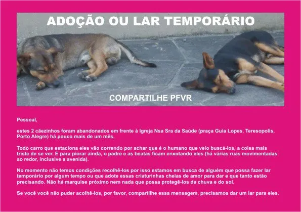 Cachorro ra a vira-latas idade 2 anos nome Cães na rua