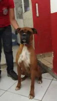 Jordão