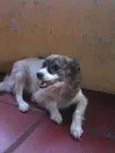 PRINCESA