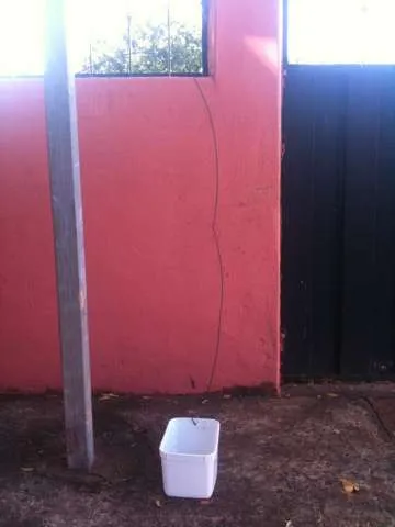 Cachorro ra a AMOR NOSSO idade 5 anos nome PRINCESA