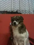 PRINCESA