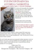 Tigrinho