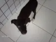 Lua