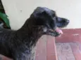 TECA