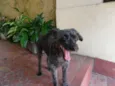 TECA
