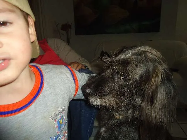 Cachorro ra a SRD idade 5 anos nome Preto