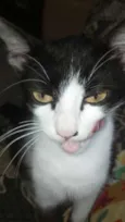 Cori