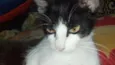 Cori