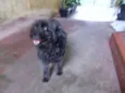TECA