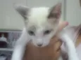 Menina