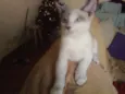 Menina