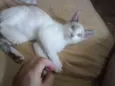 Menina