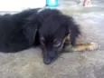 Vítor