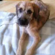 Lola