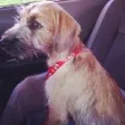 Lola