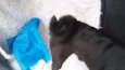 Soluço