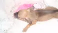Paty