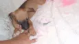 Paty