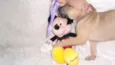 Filhote RAFAEL