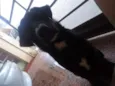 Eros