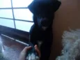 Eros