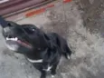 Eros