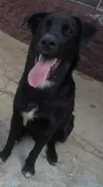 Eros