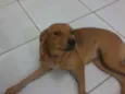 Mel