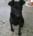NIna