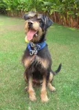 CADU