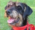 CADU