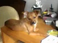 paçoca