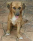 Tina